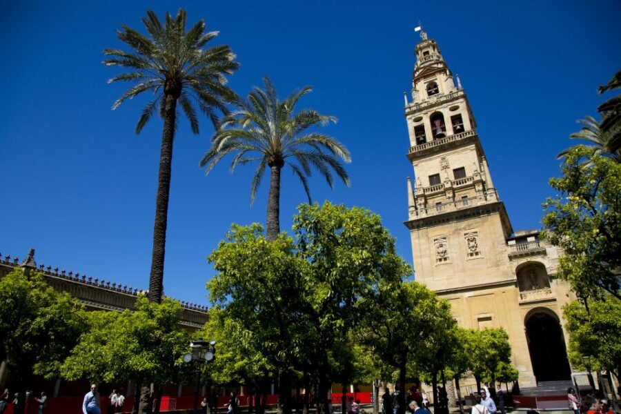 Alcazar of Cordoba Entry Ticket and Guided Tour - Rooms and details you’ll actually be able to name