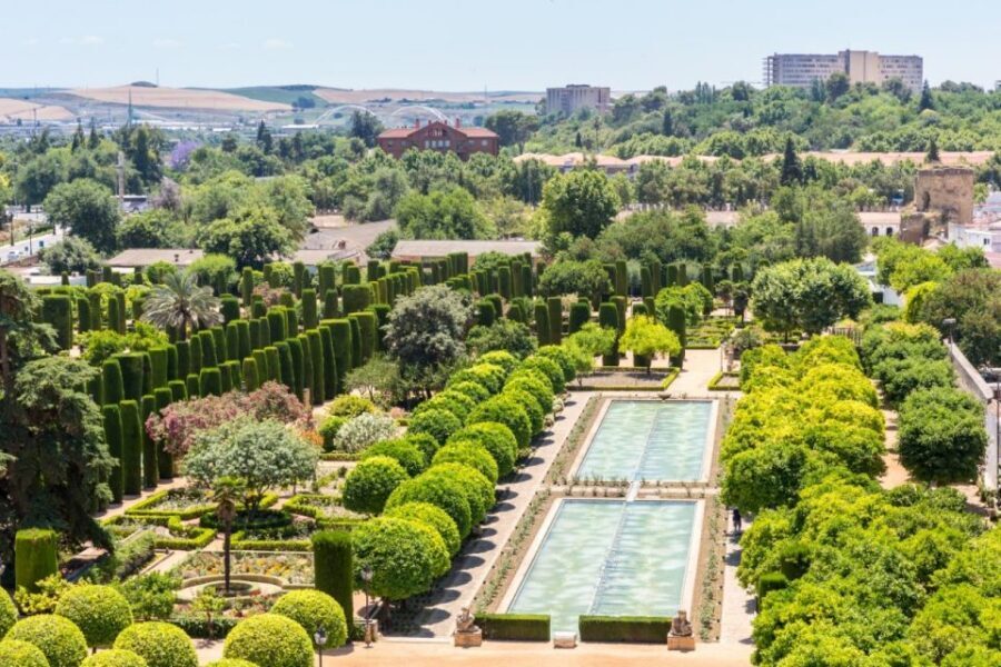 Córdoba: Alcázar and Jewish Quarter 2-Hour Guided Tour - The guide and pacing: great context, with a slight speed edge