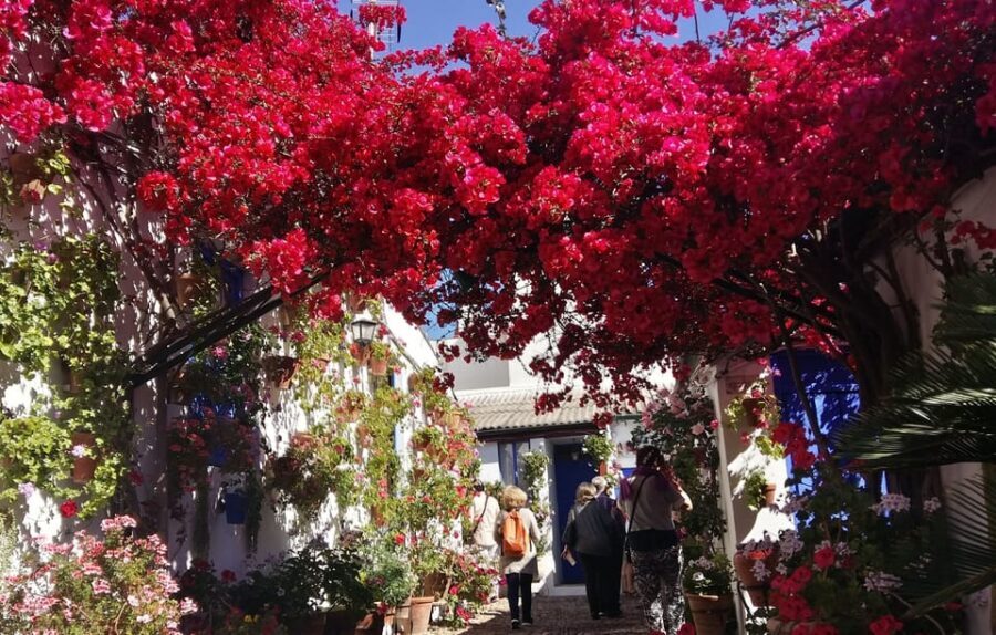 Cordoba Courtyards by Bike, Electric Bike - Four Courtyards, Four Comparisons You Can Actually Feel