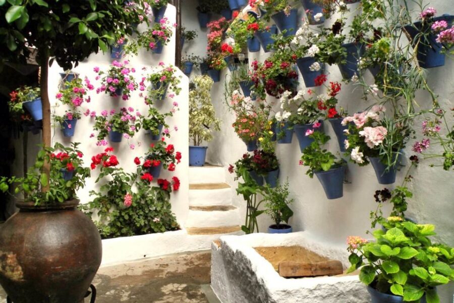 Córdoba: Guided Tour of the Patios - Córdoba’s Patio Tradition, Explained in 90 Minutes