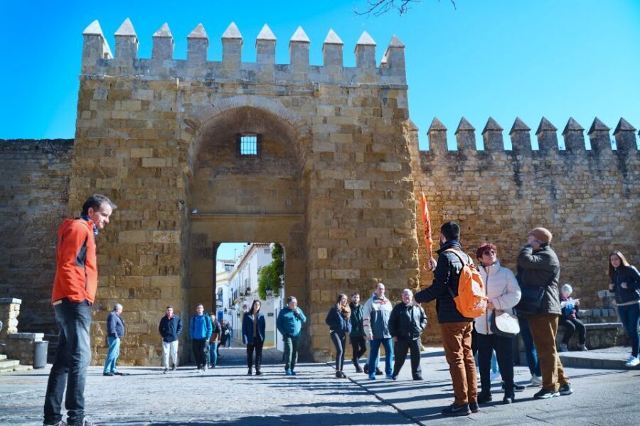 Córdoba: Jewish Quarter, Mosque, and Alcázar Tour - Alcázar of the Christian Kings: gardens, courtyards, and stair-heavy access