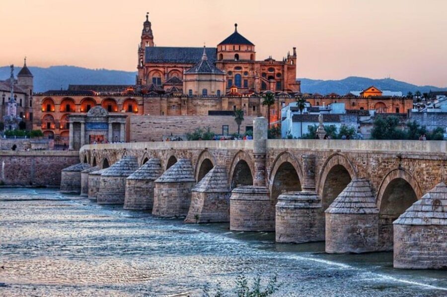 Cordoba : Patios Private Walking Tour - Why Córdoba patios feel like a real city, not a set