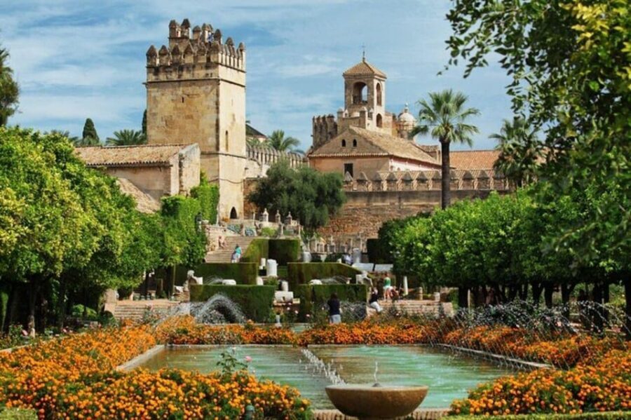 Cordoba : Patios Private Walking Tour - Starting point on C. Isabel Losa, 8: arrive ready to walk
