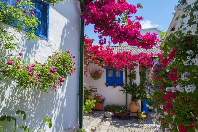 Cordoba's Authentic Patios: 2-Hour Tour with Tickets - Key points before you go