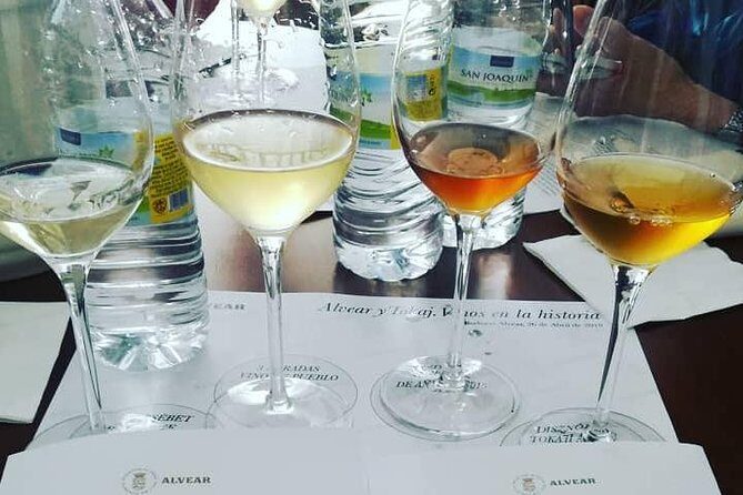 Evening Wine Tasting Córdoba - Tapas Pairings That Make the Wines Make Sense