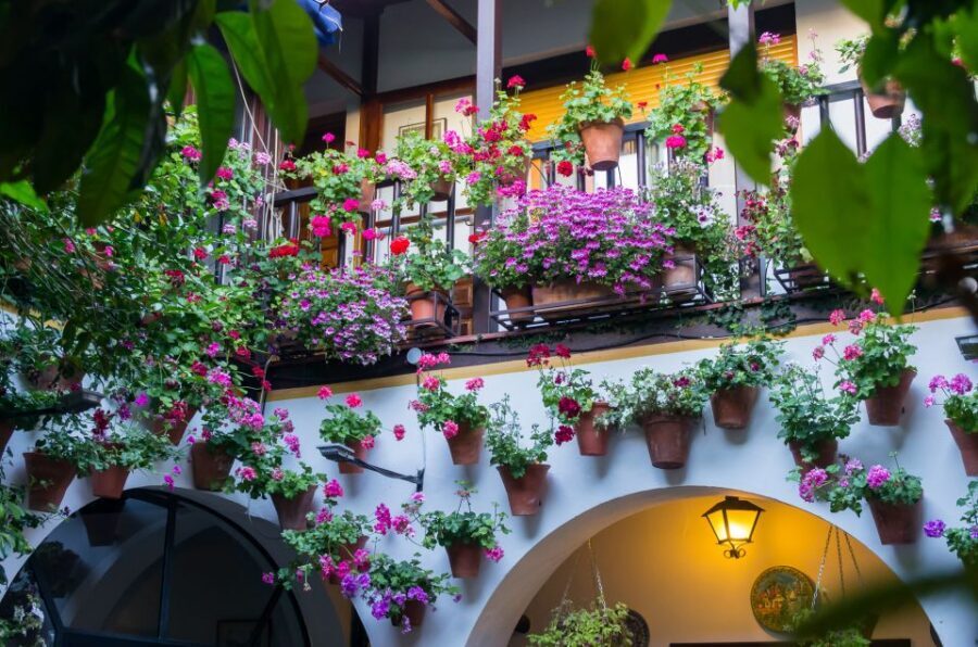 Guided tour in Spanish to the courtyards of Córdoba - FAQ