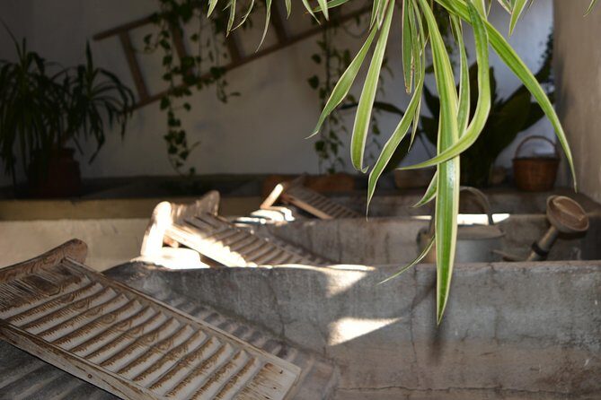 Patios & Perfums of Cordoba Festival Tour - Montilla-Moriles wine and a tapa: the practical reason tours end well